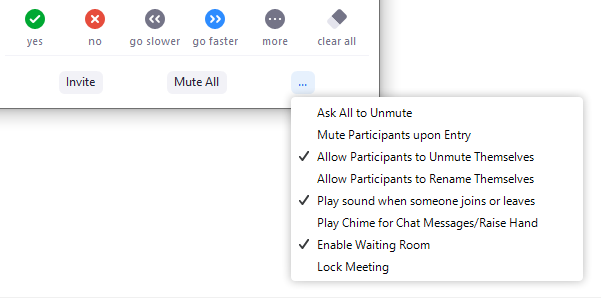 participants-list-bottom-more-options-for-host.png